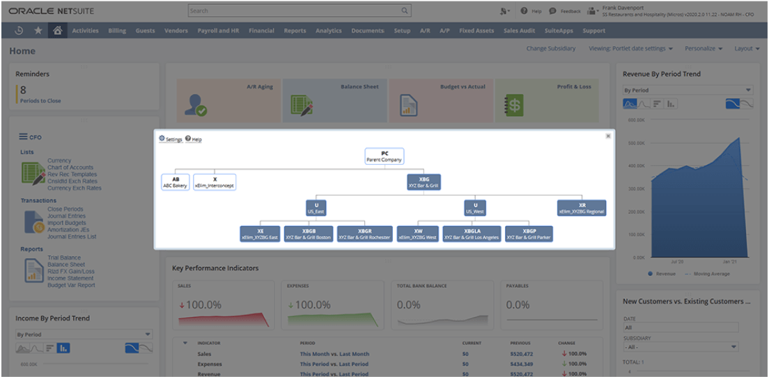 NetSuite demo preview
